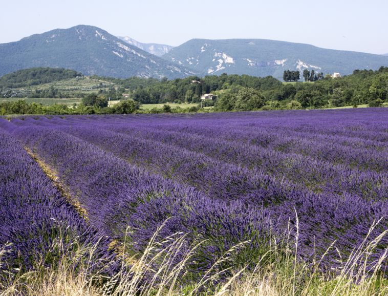 maison Pce Lde Montagne 4 (2).jpg